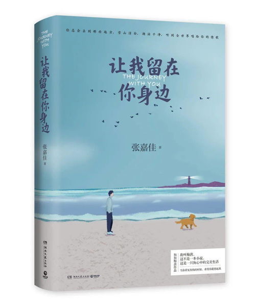 我成为了世界上第一条分期付款的金毛狗子