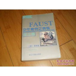 少年维特之烦恼 跨越时代的青春悲歌